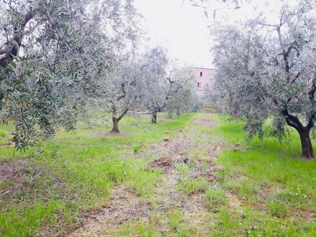 Ellebi B&B Montone  Екстер'єр фото